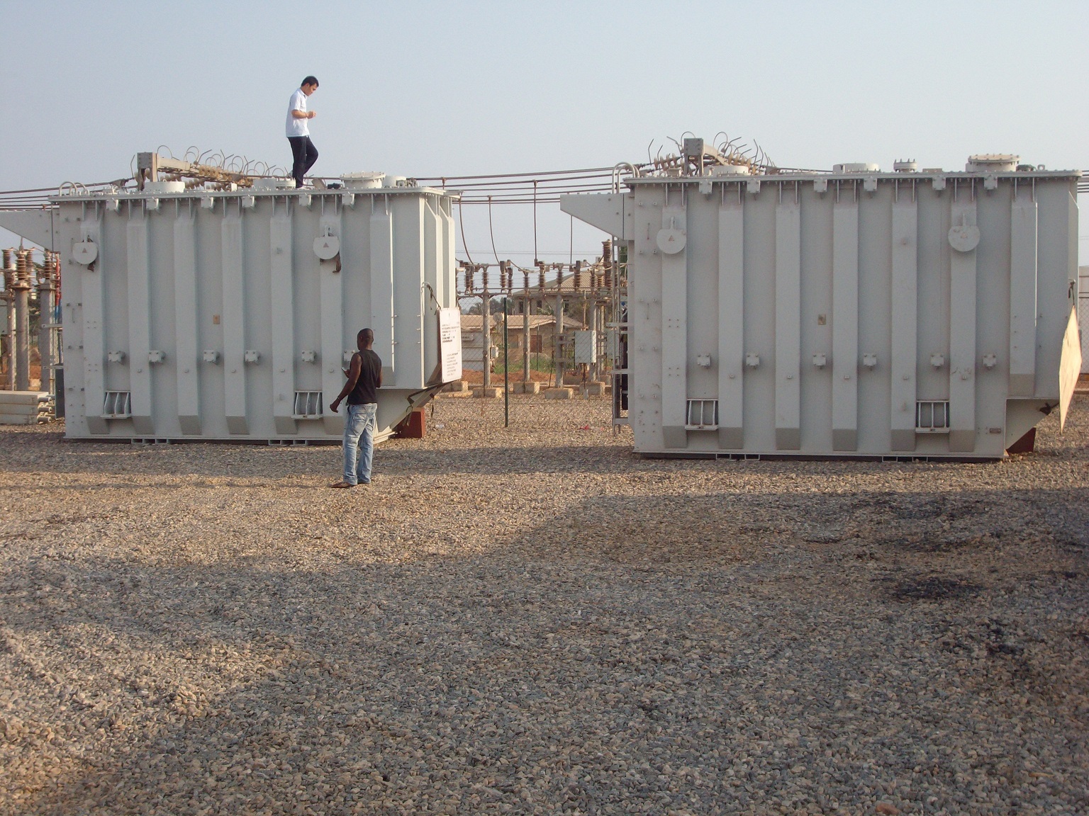 Agricultural Export Supply Chain Optimisation